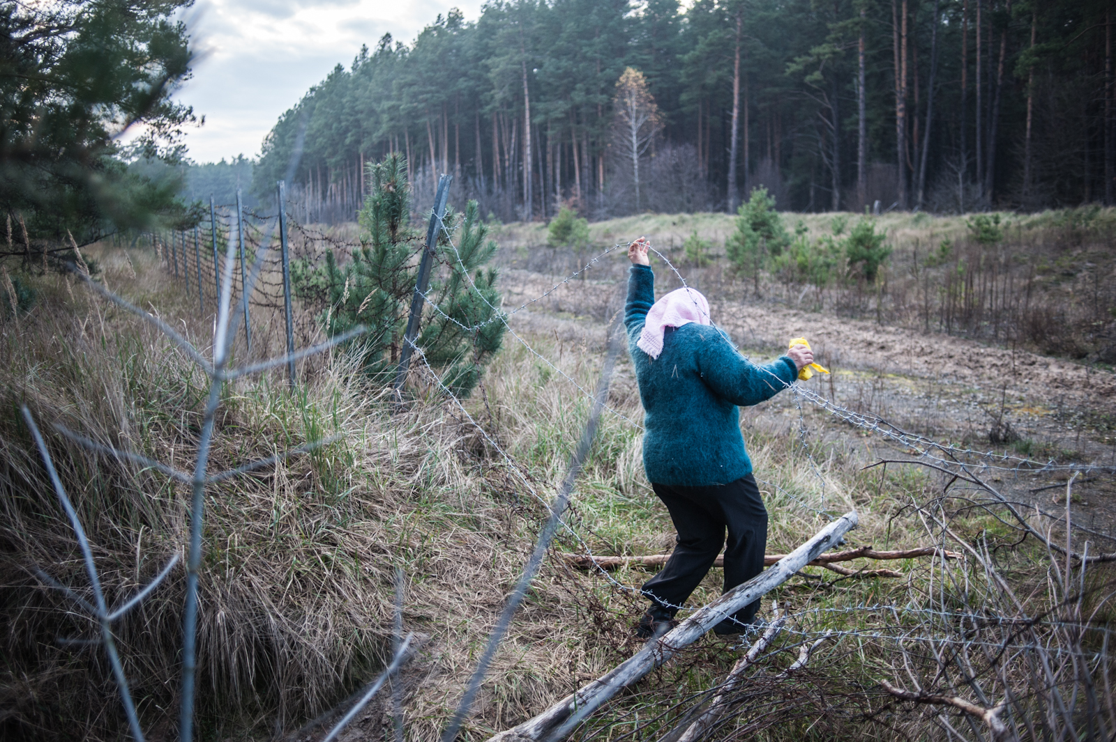 A woman illegally crosses into the forbidden forests of the Exclusion Zone